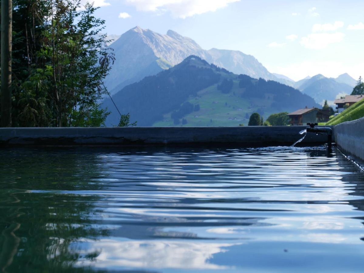 Chalet Sonnenheim, Wohnung Mit Panoramafenster Adelboden Kültér fotó